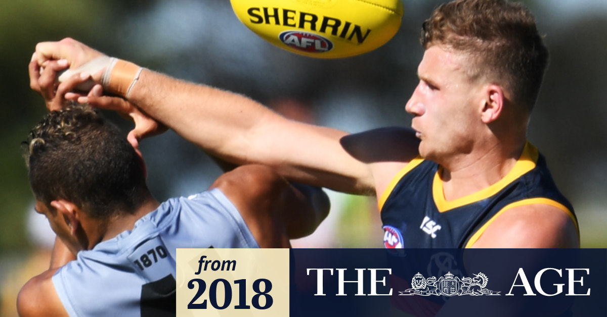 AFL Footballer of the Year Round seven votes